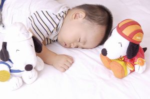 幼儿园正确选择儿童毛绒玩具很重要